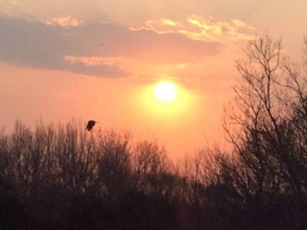Sunset Manor Guest House Potchefstroom Esterno foto